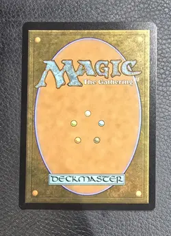 Raging Ravine (0080) (Borderless) NM Foil MTG Stellar Sights MTG NM Magic Card - Image 2