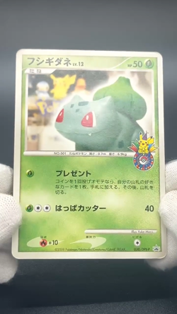 (LP/MP) Charmander Bulbasaur Squirtle Pokemon Center 10th Promo JP #2507040003 - Image 2