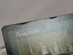 MTG Anaconda (2) Portal Regular Uncommon Magic 2 DINGS TOP EDGE - Image 3