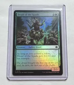 Druid of the Spade #170 Bloomburrow Foil Creature MTG NM/M - Image 1