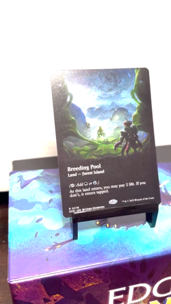 Breeding Pool (#278) - Borderless - Edge of Eternities (EOE) MTG - Image 2