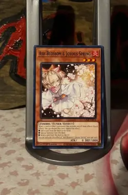 Ash Blossom & Joyous Spring SDCB-EN014 Common 1st Ed Yugioh NM/Mint Fast Ship - Image 1
