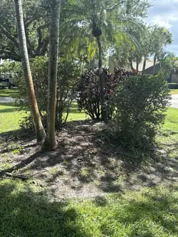 Possibility Technician (Borderless Foil) 0295 Edge of Eternities MTG NM - Image 1