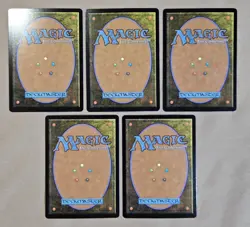 MTG 5x Foil Tarkir Dragonstorm Full Art Lands - Magic the Gathering - Image 2