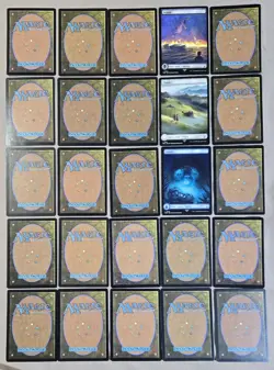 MTG Mix Lot Of 25 Full Art lands ~ Non-foil - Image 2