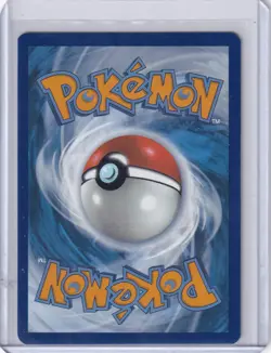 2025 Pokemon SV White Flare WHT EN Oshawott Illustration Rare #105/086 NM - Image 2