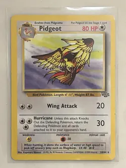 1999 Pokemon TCG Jungle Pidgeot 24/64 Rare Card Unlimited WOTC Vintage LP - Image 1