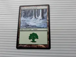 Magic: The Gathering Card - Coldsnap ~ Common ~ Snow-Covered Forest - Image 1