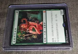 Argothian enchantress - Simplified Chinese - MTG Eternal master - NM - Image 3