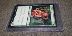Argothian enchantress - Simplified Chinese - MTG Eternal master - NM - Image 4
