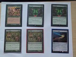 Magic the Gathering Foreign Language Cards + MTG + Great Value + Fetch Lands - Image 3