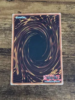 Petit Moth - MRD-023 - Common - Unlimited Edition - YuGiOh - Image 2