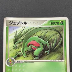 Grovyle Pokemon Card 008/ADV-P Promo Vintage Japanese Nintendo M7-3 - Image 3