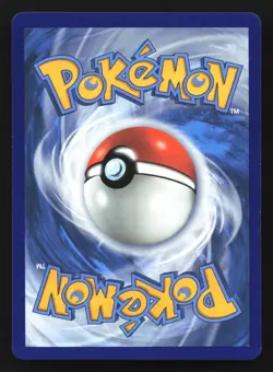 Pokemon Greninja V-Union SWSH155/156/157/158 Holo Black Star Promo 4 Card Set LP - Image 3