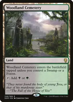 Woodland Cemetery Dominaria HP MTG - Image 1