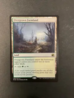 Overgrown Farmland - Innistrad: Midnight Hunt - Magic the Gathering - MTG - Image 1