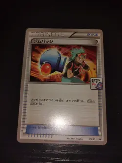 Pokemon JAPANESE Brawly Flannery 2 Rayquaza Pre Battle Promo Card Lot XY-P EX+ - Image 2