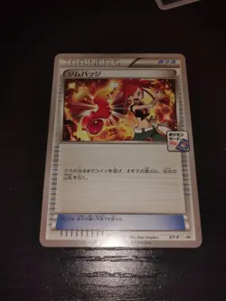 Pokemon JAPANESE Brawly Flannery 2 Rayquaza Pre Battle Promo Card Lot XY-P EX+ - Image 4
