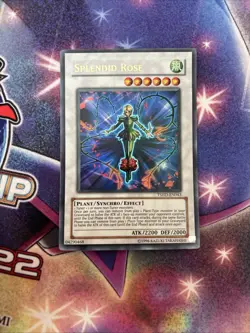 (YBL) YUGIOH SPLENDID ROSE TSHD-EN043 Unlimited LP - Image 1