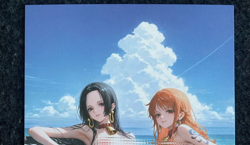 Matchmaker 2 Spicy Waifu NSFW A5 Sizes Card Board Boa Hancock Nami Redeem 14 - Image 1