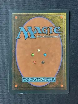 MTG Homelands Winter Sky RESERVED LIST LP - Image 2