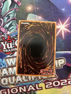 (YBL) Blackwing Armor Master PGLD-EN077 Gold Rare 1st Ed Yugioh LP - Image 3