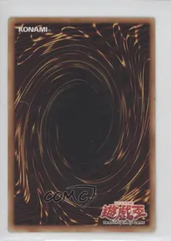 Turtle Tiger 1st Ed. YuGiOh Legend of Blue Eyes White Dragon #LOB-023 2002 n3t - Image 2