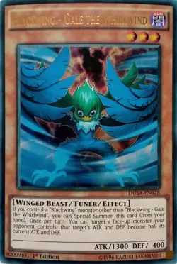 DUSA-EN078 BLACKWING - GALE THE WHIRLWIND ULTRA RARE 1ST EDITION YuGiOh CARD - Image 1
