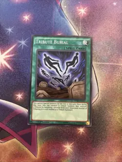 (YBL) YuGiOh Tribute Burial Super Rare 1st Edition DPRP-EN010 LP - Image 1
