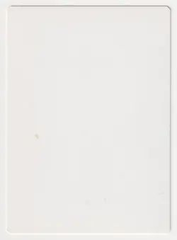 Signed Flashfires Proof LP 5th Edition Artist Dameon Willich 1997 MTG Magic AP! - Image 2