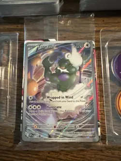 Black Bolt & White Flare ETB Boxes NO Packs With Promo & Accessories Pokemon TCG - Image 5