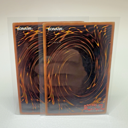 2x Yugioh Ryu Kokki IOC-090 1st Edition Common - LP 💎 - Image 2