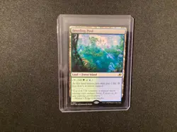 Breeding Pool #0251 MTG Edge of Eternities Magic The Gathering NON FOIL - Image 1