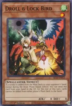 Droll & Lock Bird - SR14-EN023 - Common - 1st Edition NM YuGiOh! Fire Kings - S - Image 1