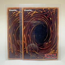 2x Yugioh Spiritual Beast Tamer Winda RATE-EN026 1st Edition Silver Rare - NM 💎 - Image 2