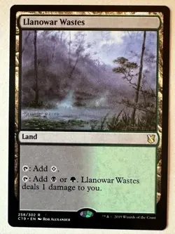 Llanowar Wastes 258 Commander 2019 MTG NM NP - Image 1