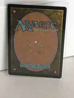 L 0262 Plains FOIL BORDERLESS Full Art Land Edge of Eternities EOE MTG NP - Image 2