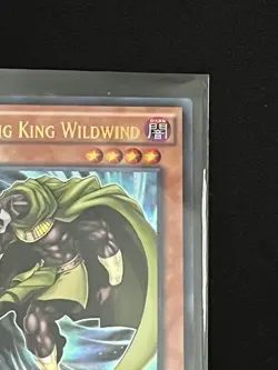 Wandering King Wildwind DUSA-EN016 YuGiOh Duelist Saga - Image 3