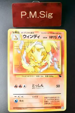 Arcanine No. 059 32 Intro Pack Squirtle Deck 1996 Japanese Pokemon Card - Image 1