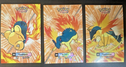 Cyndaquil Quilava Typhlosion Attacks 2 Database Johto Cracked Ice nontcg Pokemon - Image 1