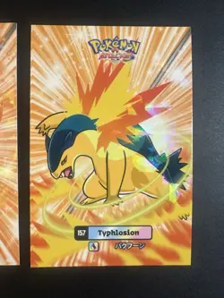 Cyndaquil Quilava Typhlosion Attacks 2 Database Johto Cracked Ice nontcg Pokemon - Image 4