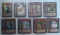 Yugioh! - Shining Sarcophagus Deck Core - 41 Cards! - Image 2