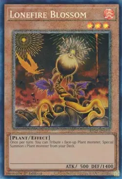 Lonefire Blossom (PCR) - 1st Editio 25th Anniversary Rarity Collection NM YuGiOh - Image 1
