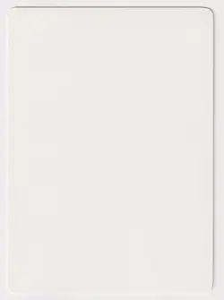 Gold Signed Chinese Inferno Proof NM FBB Artist Randy Asplund-Faith MTG Magic AP - Image 2