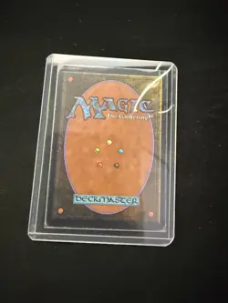 Magic The Gathering: Arabian Nights Rukh Egg (Dark) MTG Arabian Nights - Image 2