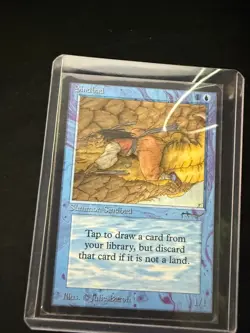 Magic The Gathering: Arabian Nights Sindbad MTG Arabian Nights - Image 1
