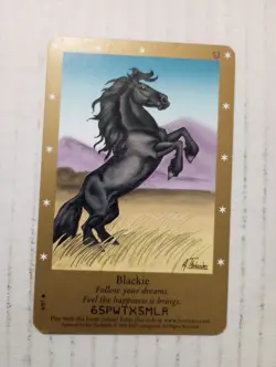 Bella Sara Second Series 2007 Blackie 4/97 Common Horse Trading Card - Image 1