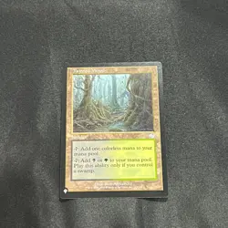 Tainted Wood - The List Reprints (LIST)(143) - MTG - Image 1