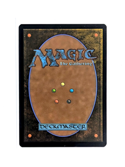 Petrified Field M 0077 Borderless REGULAR MTG Edge Of Eternities EOS EN NM/M - Image 2