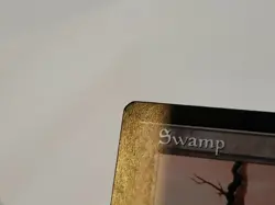 MTG Swamp Portal 219 Regular Land Magic - Image 4
